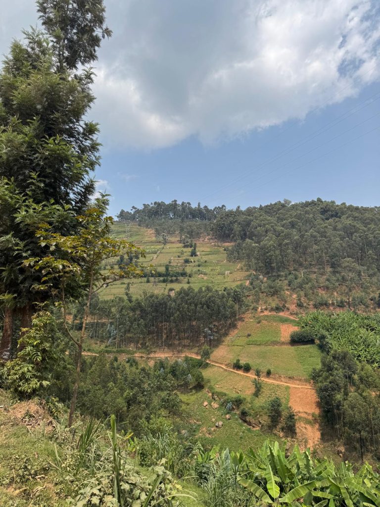 Home 2 whatsapp image 2025 10 25 at 09.58.07