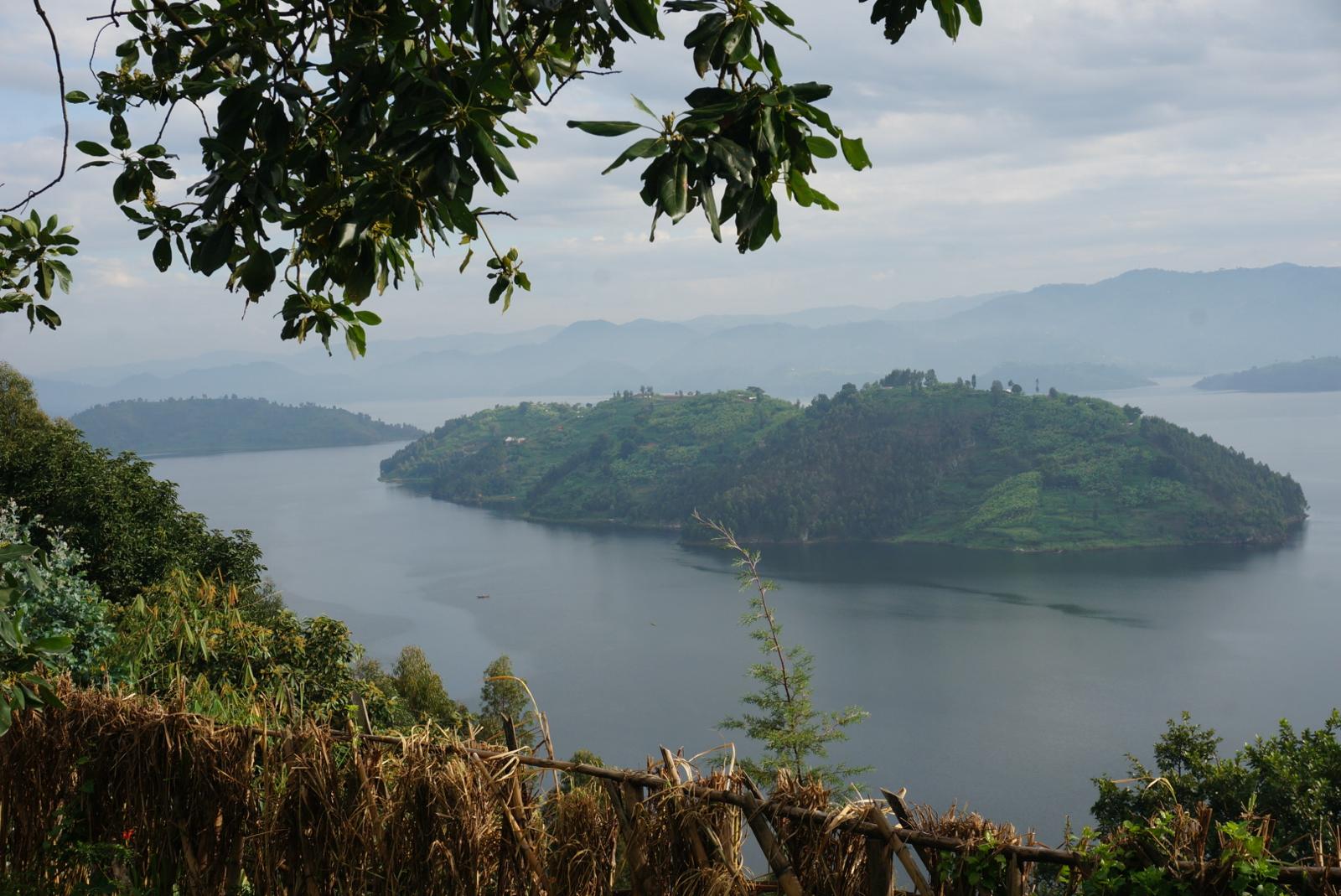 whatsapp image 2025 10 25 at 10.00.24