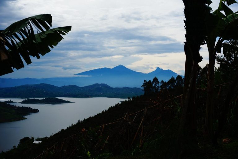 Home 2 whatsapp image 2025 10 25 at 10.00.42