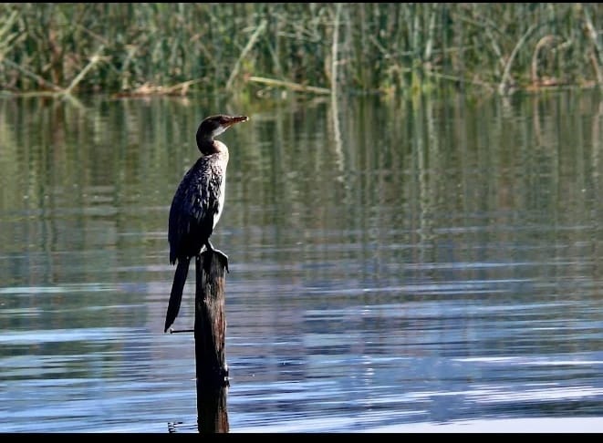 whatsapp image 2025 10 25 at 10.48.36