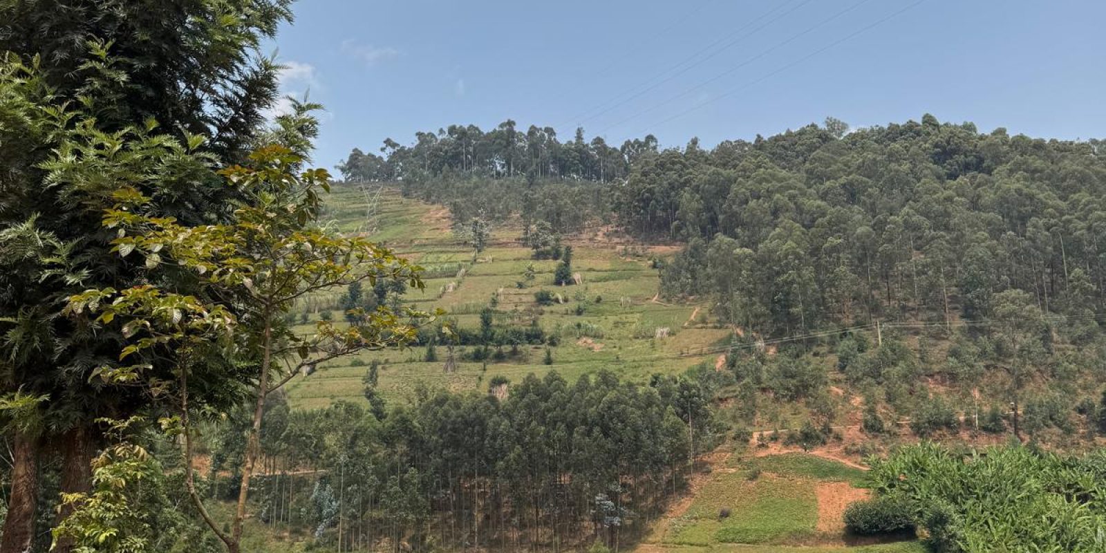 whatsapp image 2025 10 25 at 09.58.07