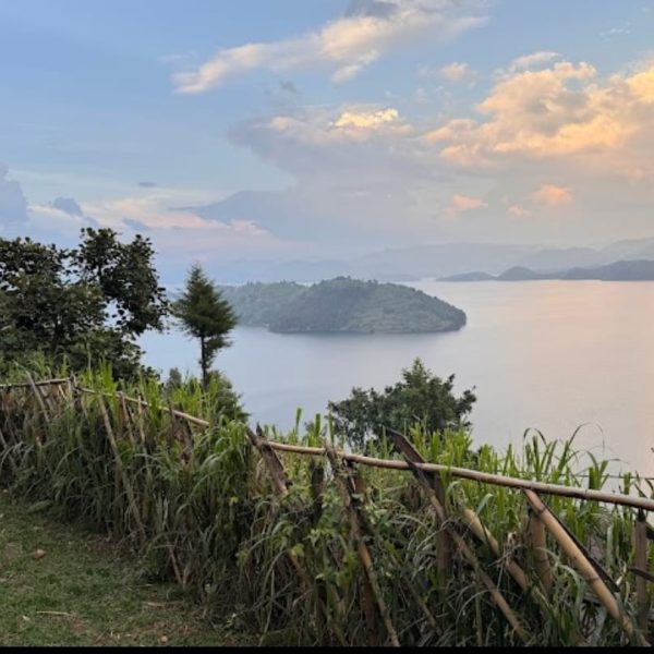 whatsapp image 2025 10 25 at 10.17.21