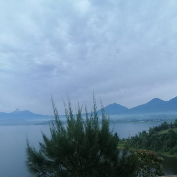 whatsapp image 2025 10 25 at 10.47.45